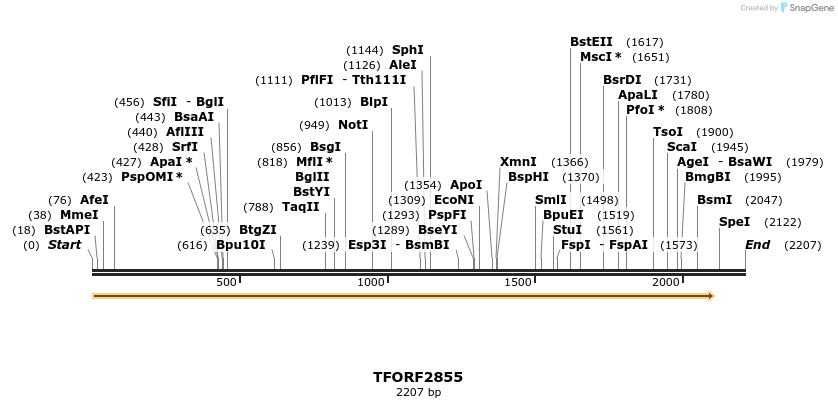 284865_map