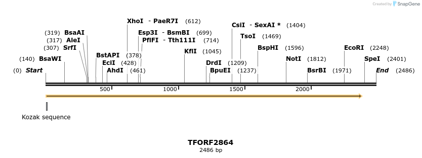 284868_map