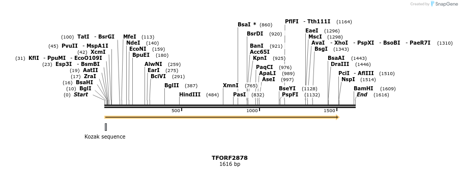 284871_map
