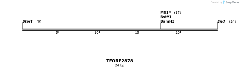 284872_map