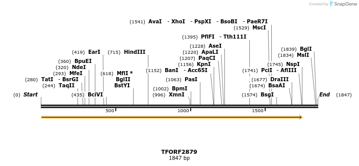 284874_map