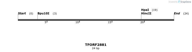 284878_map