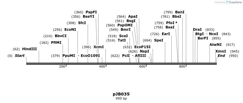 28488_map