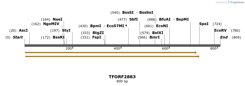 284880_map