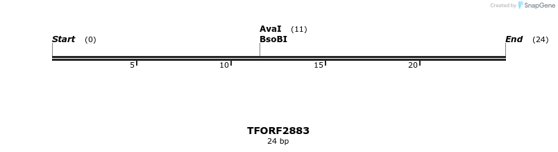 284881_map