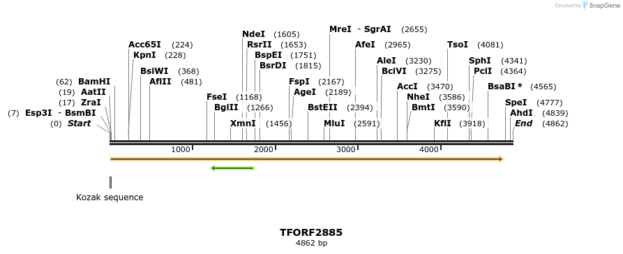 284883_map