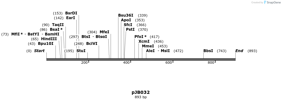 28489_map
