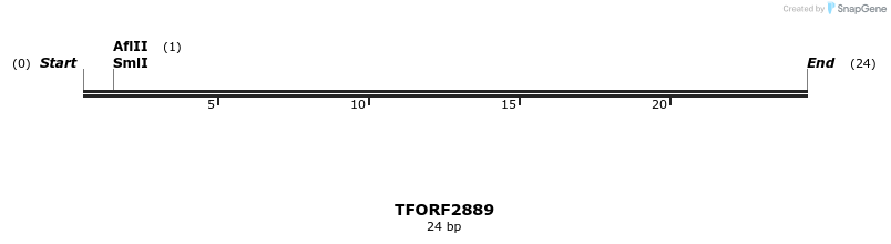 284890_map