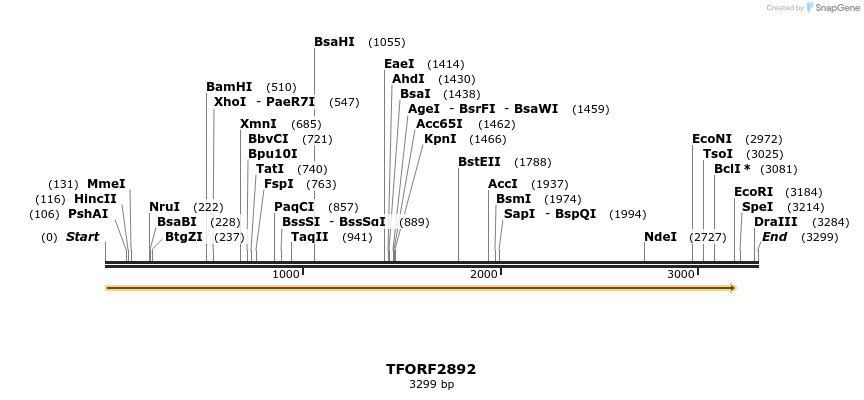 284892_map