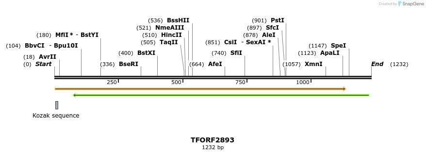 284895_map