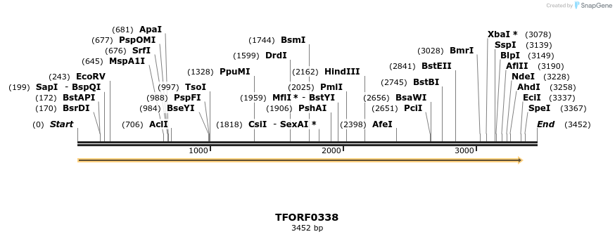 284898_map
