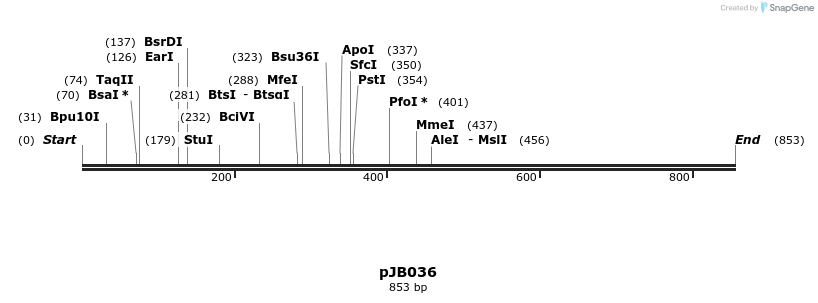 28490_map