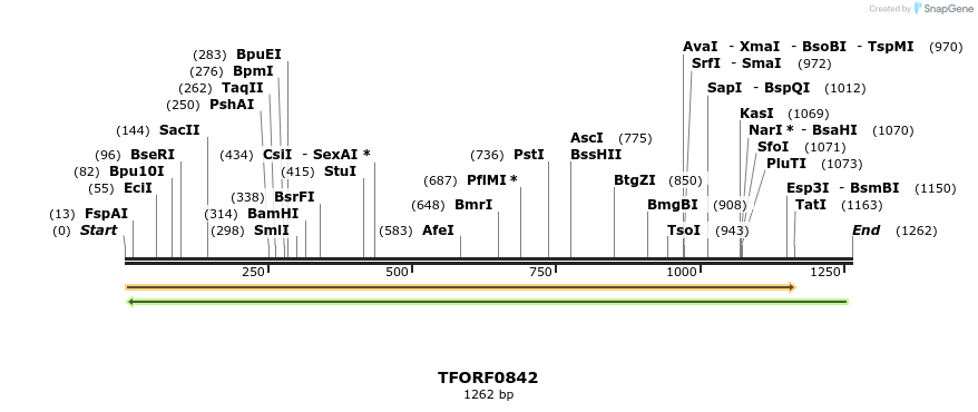 284907_map