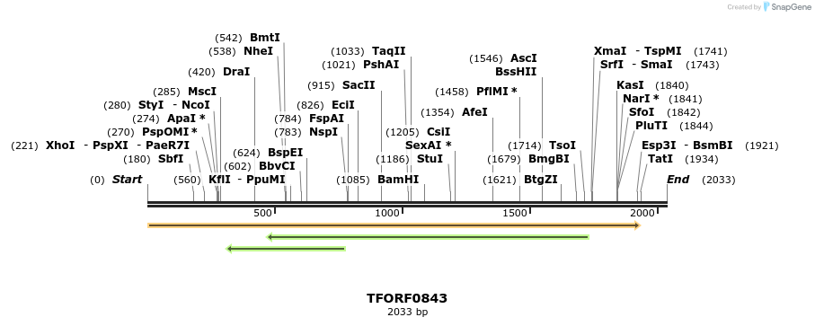284910_map