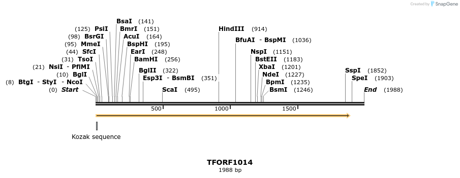 284916_map