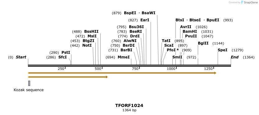 284919_map