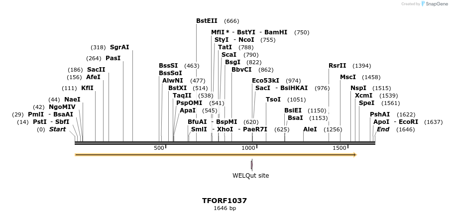 284922_map