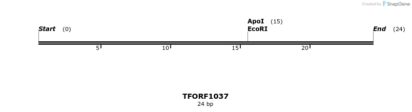 284923_map