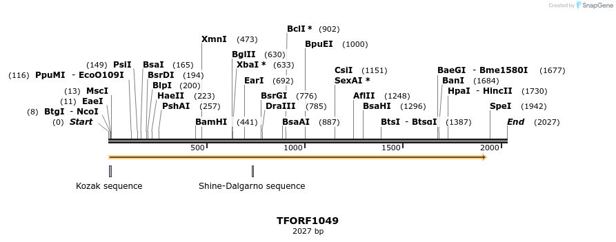 284928_map