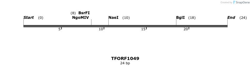 284929_map