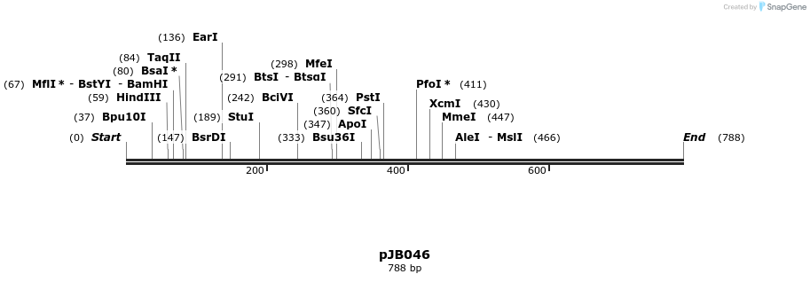 28493_map