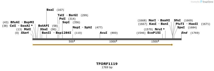 284931_map