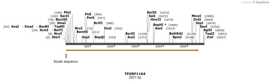 284937_map