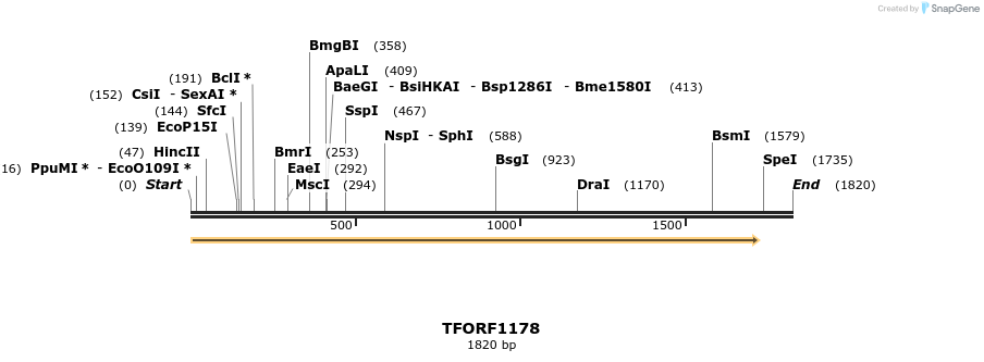 284940_map