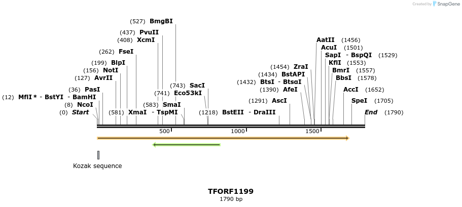 284943_map