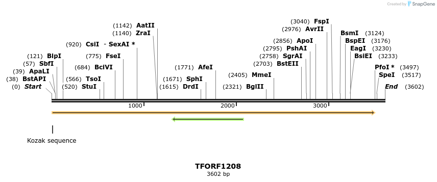 284946_map