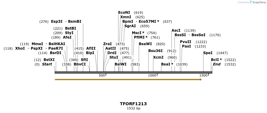 284949_map