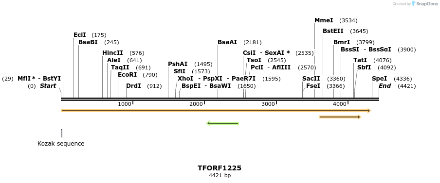 284952_map