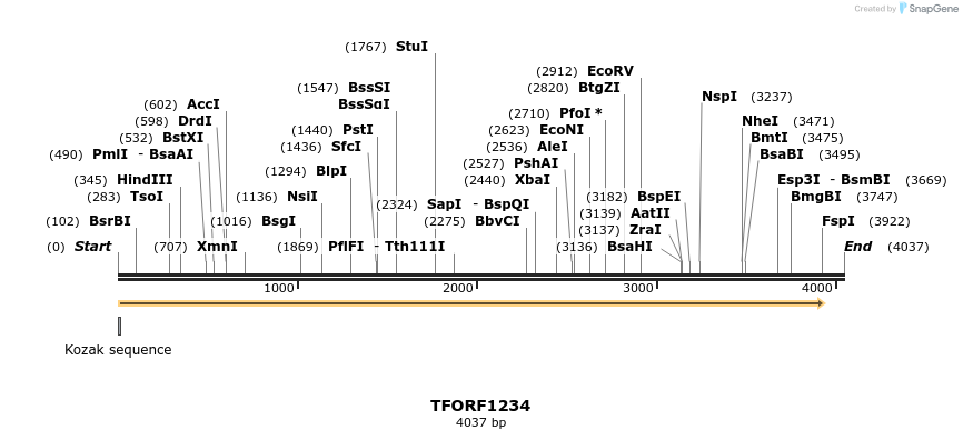 284958_map