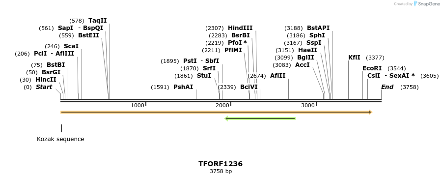 284961_map
