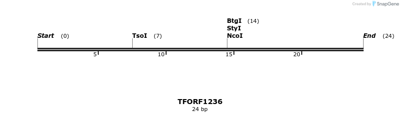 284962_map