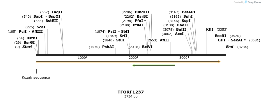 284964_map