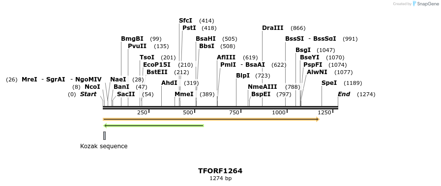 284967_map