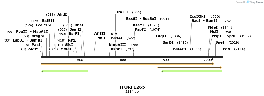 284970_map