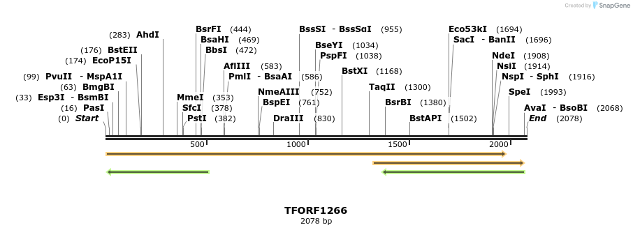 284973_map