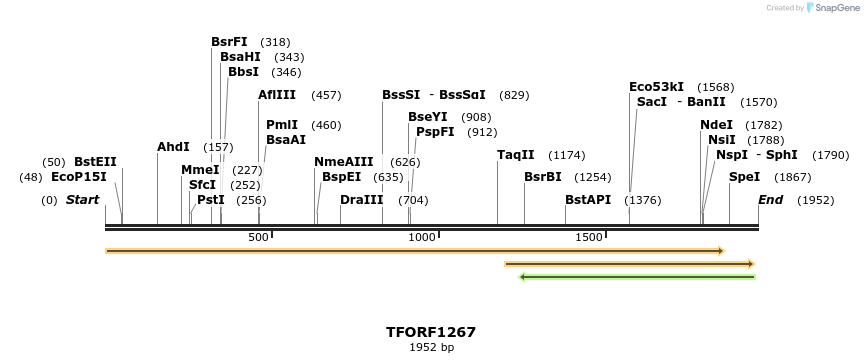 284976_map