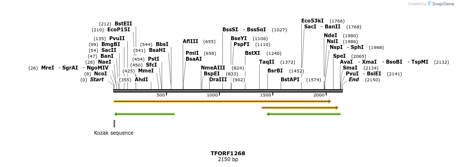 284979_map
