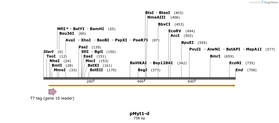 28498_map