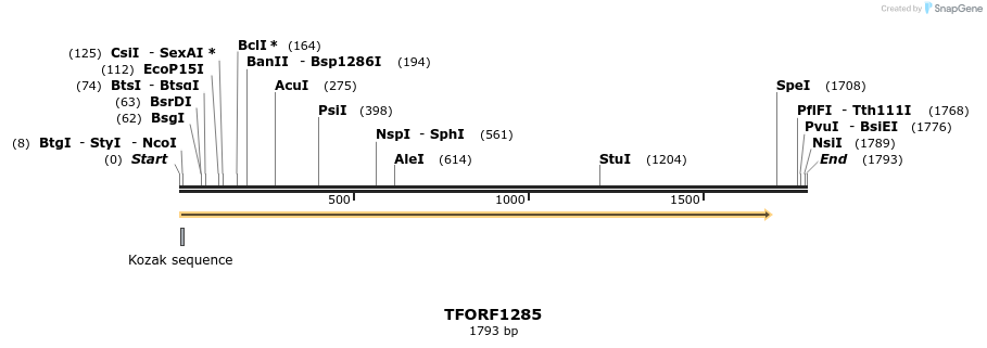 284982_map