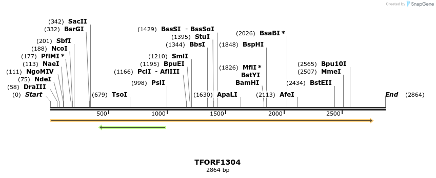 284994_map