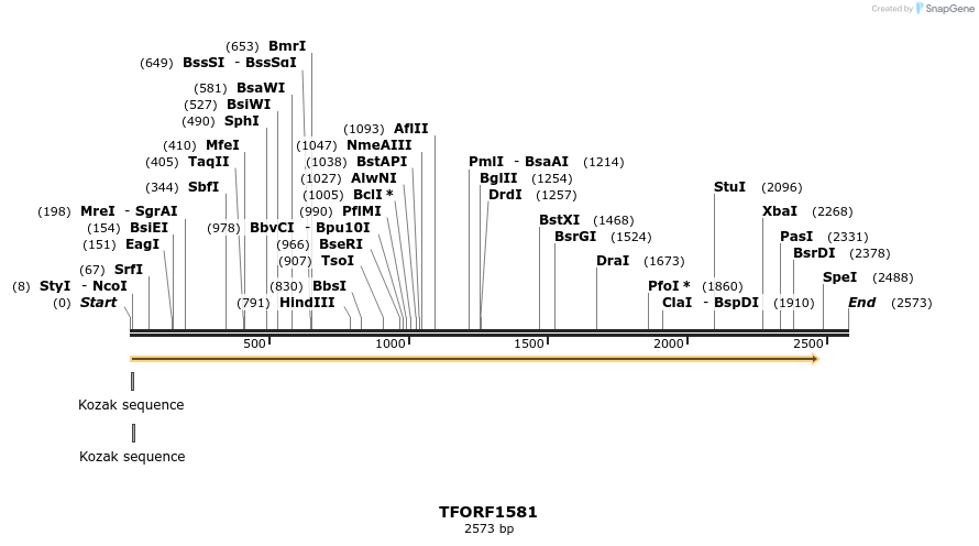 284997_map