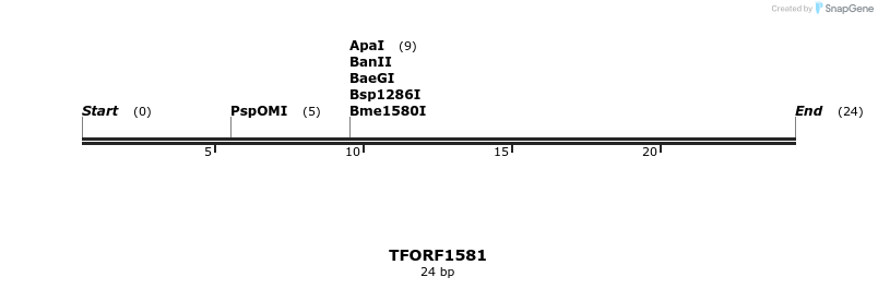 284998_map