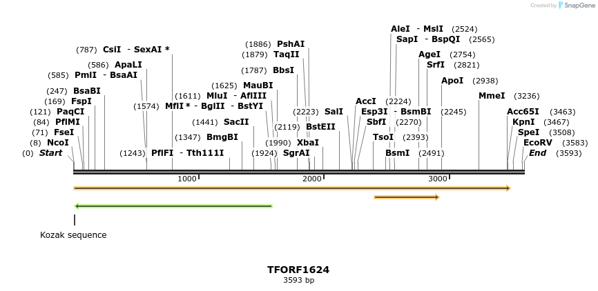 285006_map