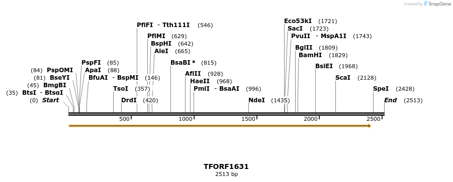 285009_map