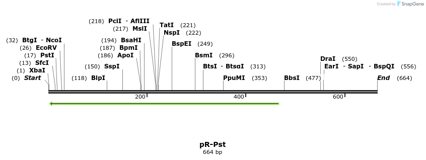 28501_map