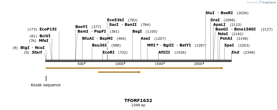 285012_map